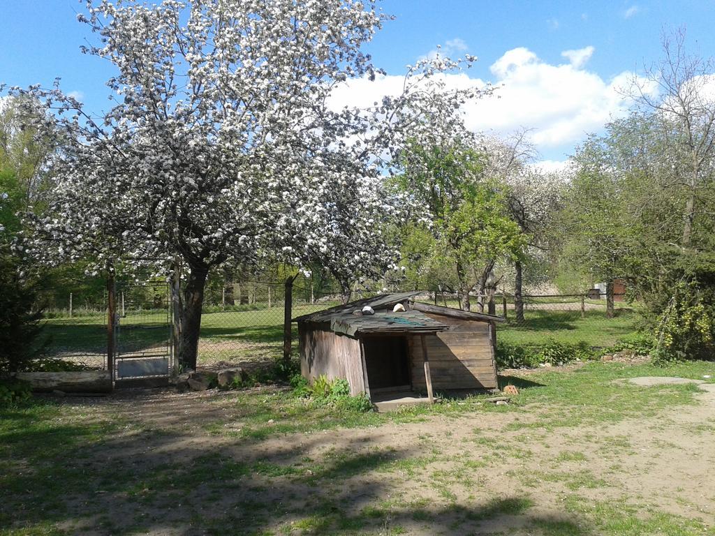 Chata Zahrada Madeta Veseli nad Luznici Exterior photo